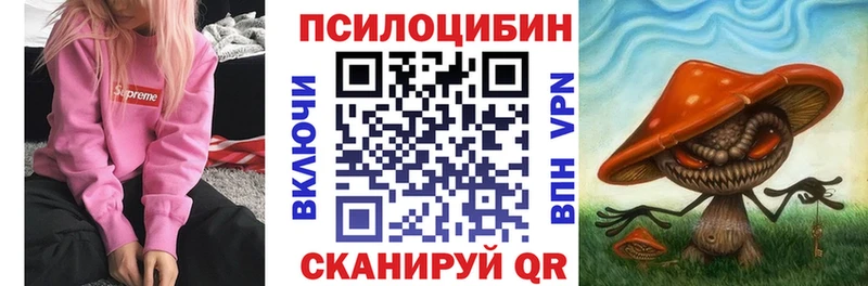 дарнет шоп  Туринск  Галлюциногенные грибы Psilocybe 